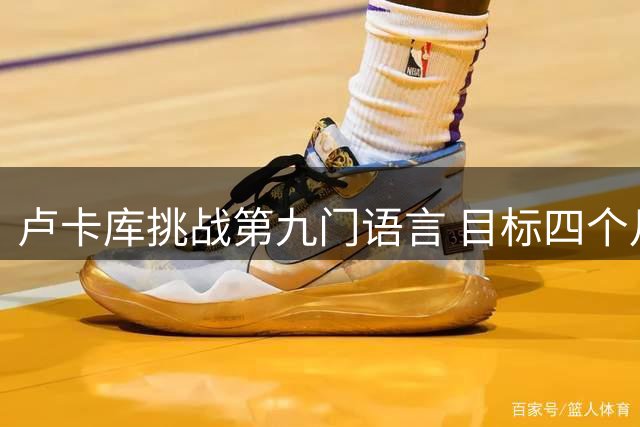 卢卡库挑战第九门语言 目标四个月内掌握土耳其语