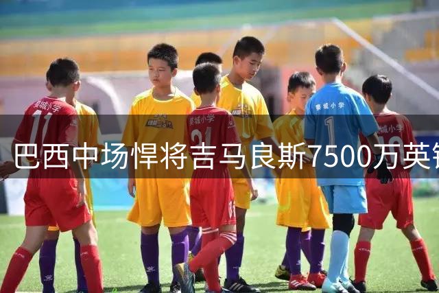 巴西中场悍将吉马良斯7500万英镑强势加盟枪手