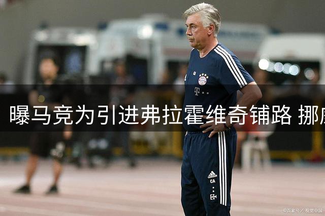 曝马竞为引进弗拉霍维奇铺路 挪威锋霸标价4000万欧待售