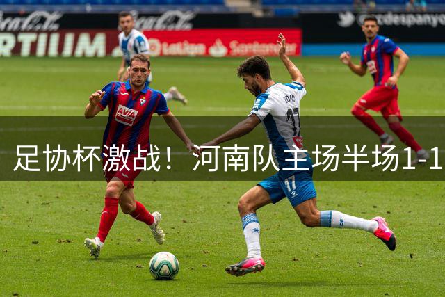 足协杯激战！河南队主场半场1-1大连英博 斯坦丘钟义浩互献进球